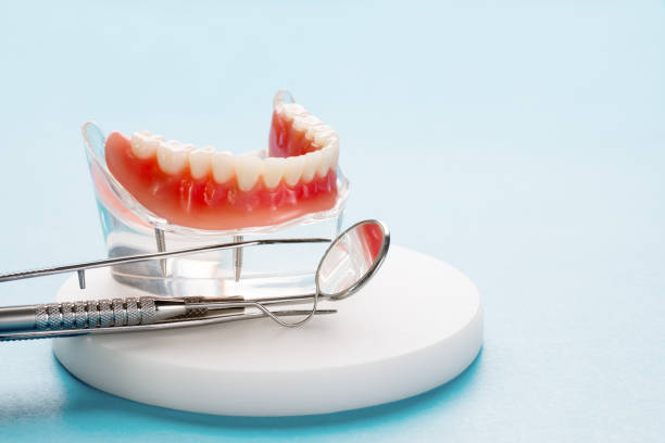 Professional  Holistic Dental Services in New Knoxville, OH